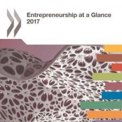 Entrepreneurship at a Glance 2017